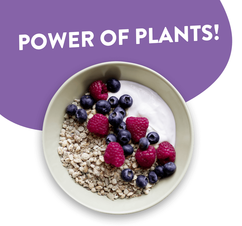 Muesli_mobil Muesli_mobil